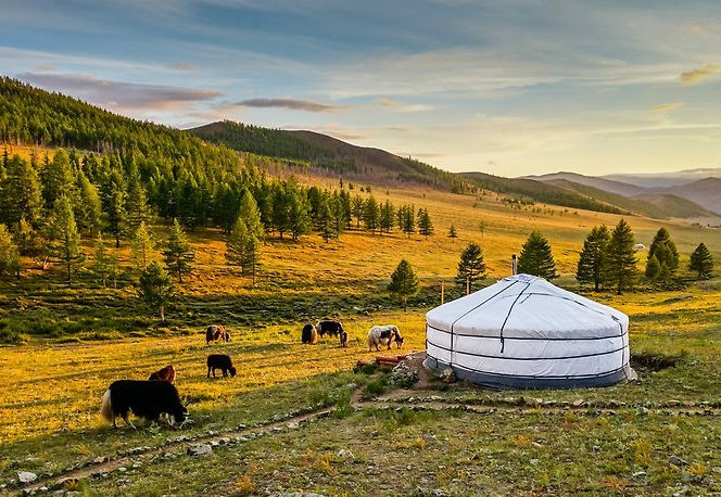몽골 여행 꿀팁 완벽하게 알려드립니다